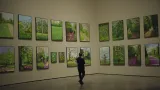 Výstava díla Davida Hockneyho v Guggenheimově muzeu v Bilbau, září 2012