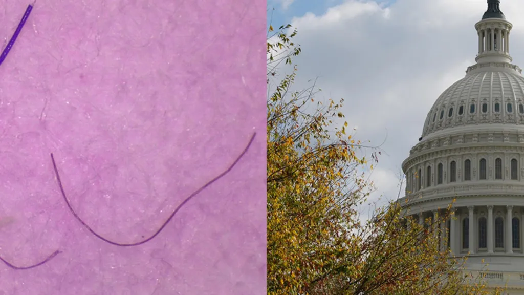 Plastová vlákna v pitné vodě ve Washingtonu