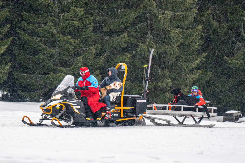 Záchranáři se psy nacvičují v Krkonoších záchranu z lavin