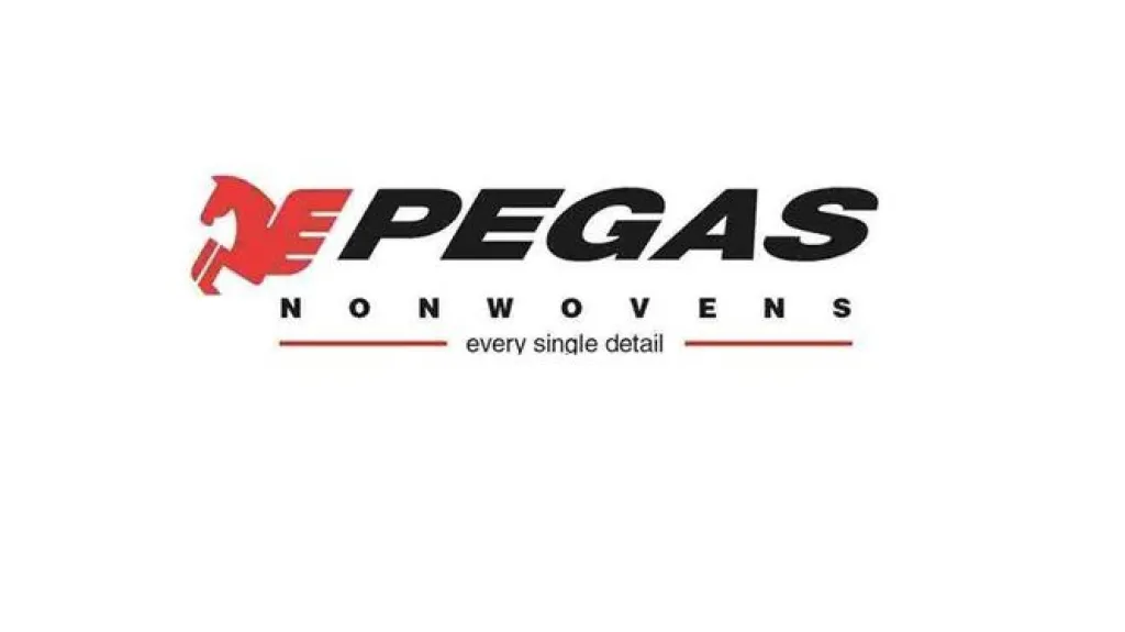 Logo Pegas Nonwovens