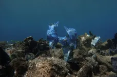 Mikroplasty zamořily i oceánské dno. Podle vědců se jich na něm nachází 14 milionů tun