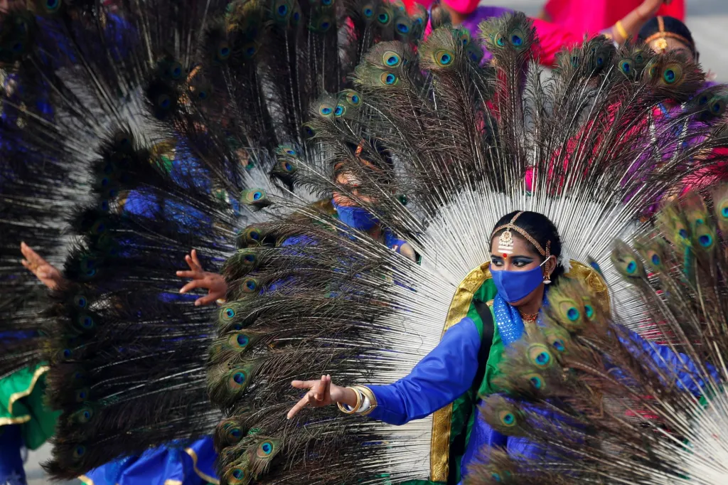 Tanečníci v kostýmech z pavího peří zkouší svůj výstup během generální zkoušky, která se odehrála před oslavou Dne republiky v indickém Dillí. Indové tento státní svátek slaví pravidelně 26. ledna již od roku 1950