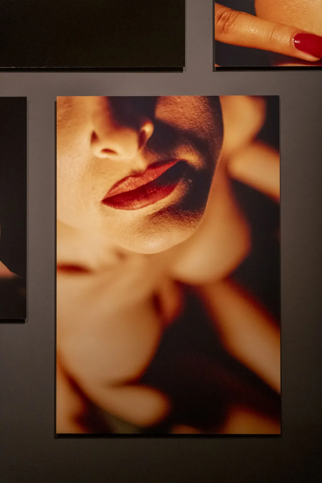 Podobně třeba Lynchovy fotografie zachycují jak stylizované portréty jako z reklamy, tak i znetvořená těla
