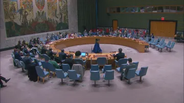 Rada bezpečnosti OSN