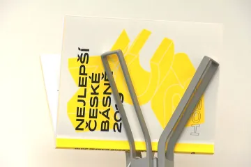 Nejlepší české básně 2019 se čtou jinak ráno, jinak v noci, jinak v ušáku