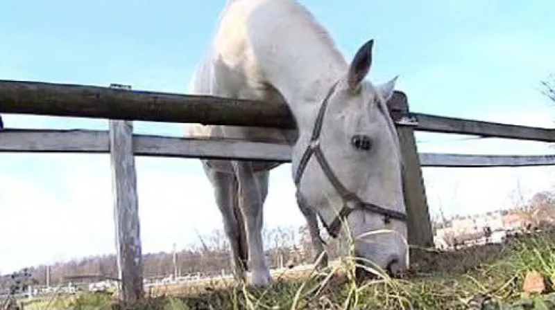 Reportáž Michala Klokočníka