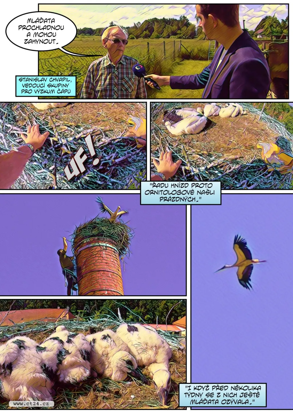 Silné deště nesvědčí zahnízděným čápům