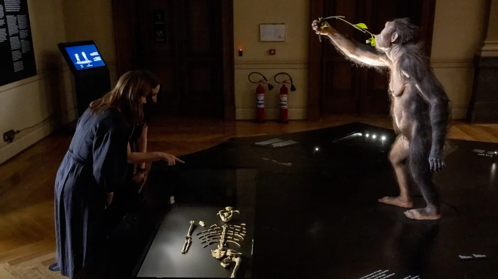 Z výstavy fosilie Lucy v Národním muzeu