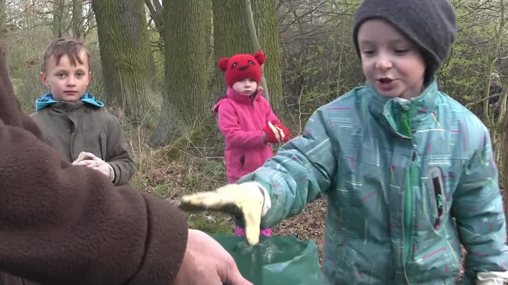 Ukliďme Česko - Borohrádek