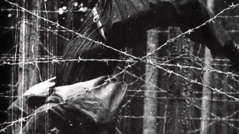 Fotografie z výstavy Králové Šumavy