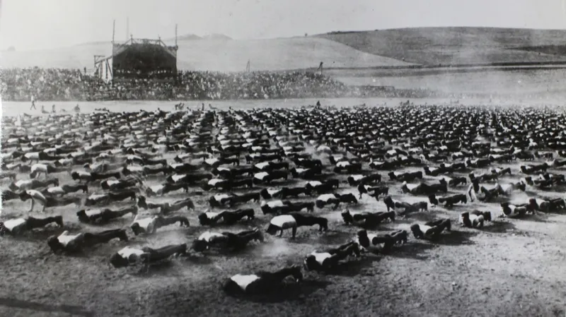 V roce 1922 se za Lužánkami  konala první zemská spartakiáda