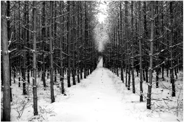 AVÍZO: Výstava fotografií Terezy Šitinové na Peruci