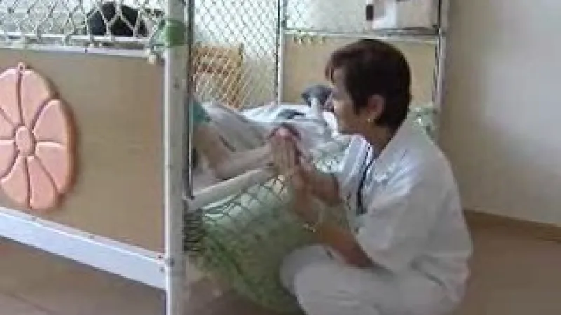 Pacient sociálního ústavu