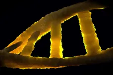 Vraždu dívky ve Spojených státech zřejmě pomohl po třiceti letech objasnit rekordně malý vzorek DNA
