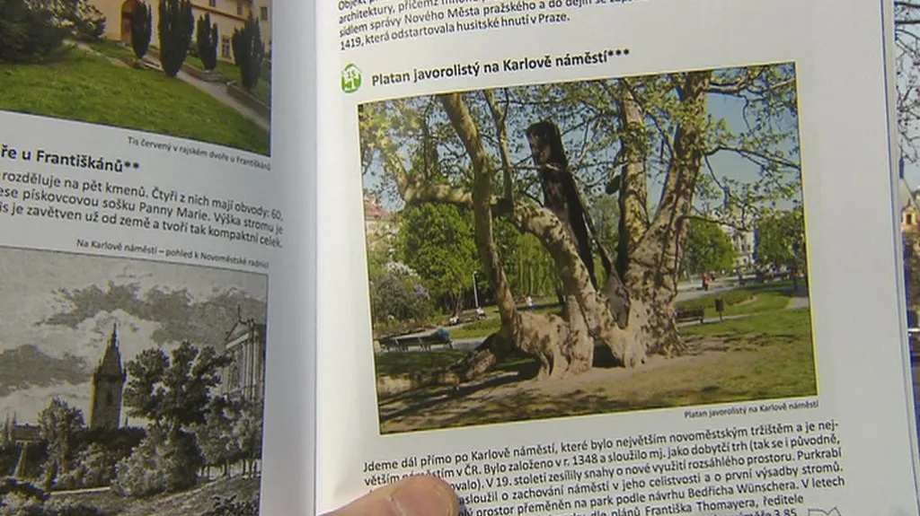 Památné stromy v nové publikaci