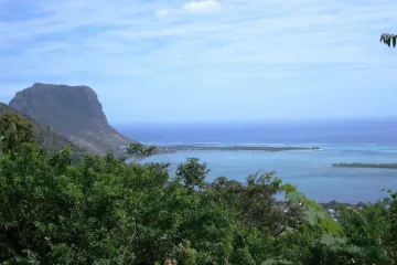 Jaké jsou epidemie 21. století? V cizině malárie a zika, v Česku žloutenka či spalničky
