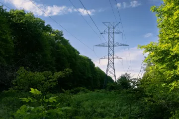 V Novohradských horách ukládají vedení pod zem. Ochrání to dodávky proudu i ptáky