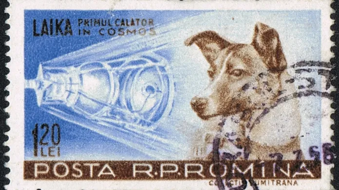 Rumunská známka s Lajkou