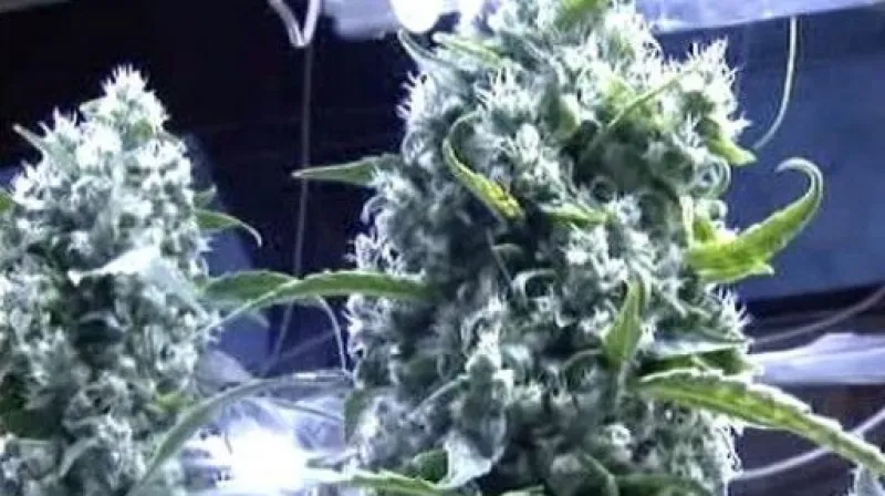 Reportáž Edity Horákové