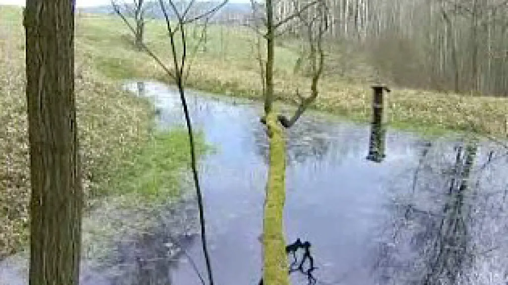 Ekologicky cenný pozemek