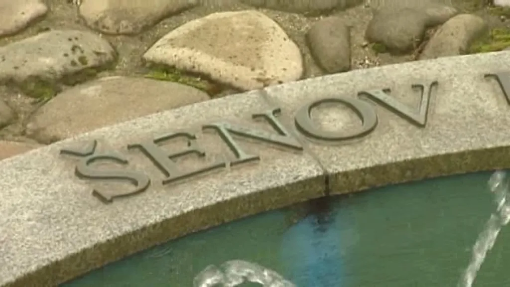 Šenovská kašna