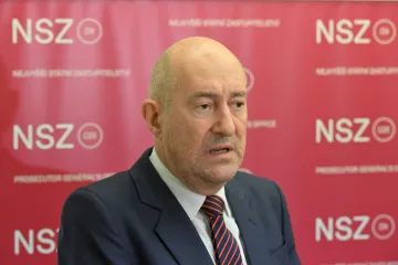 Stříž nemá jiné než osobní a rodinné důvody pro odchod z čela NSZ, uvedl