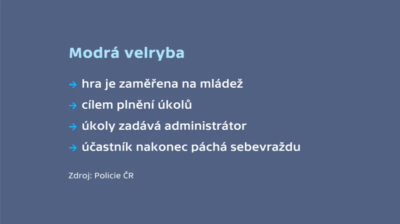 Modrá velryba – fakta