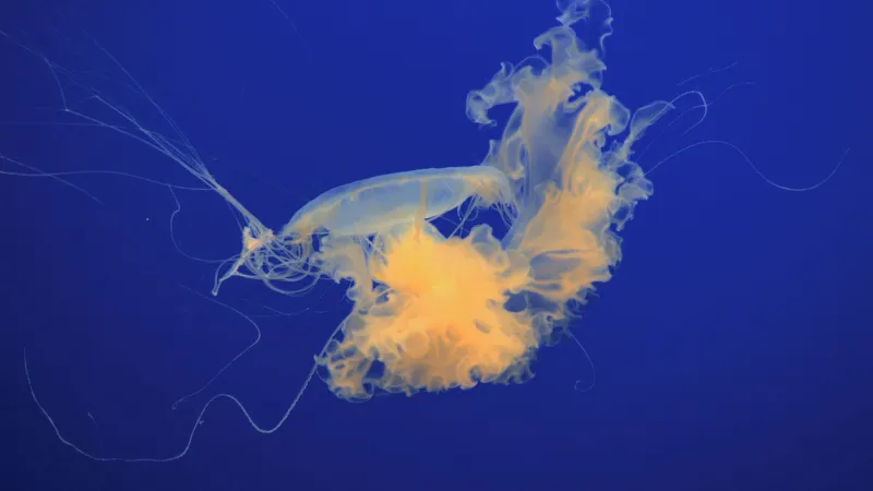 Z výstavy Jak je důležité býti v (pohyblivém) obraze