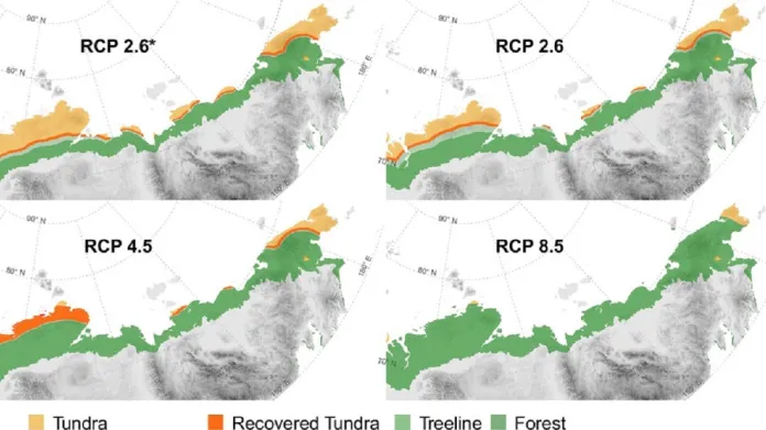 Mizení tundry v různých klimatických scénářích. Žlutě je tundra, zeleně hranice lesů a lesy a červeně teoretické oblasti, kam by se tundra mohla vrátit