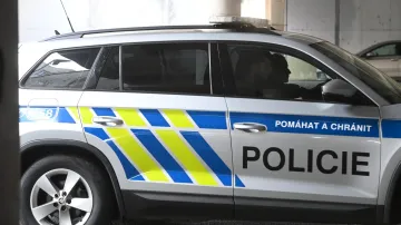 Policie ČR