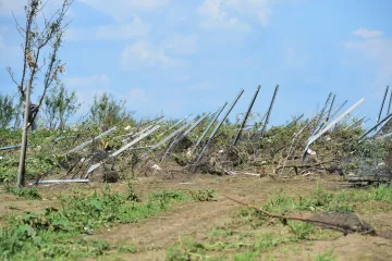 Révu nejprve poničily kroupy velikosti pingpongových míčků, potom přišlo tornádo. Vinaři sčítají škody 