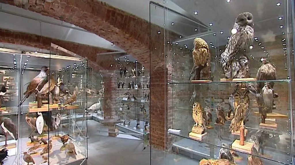 Slezské zemské muzeum v Opavě