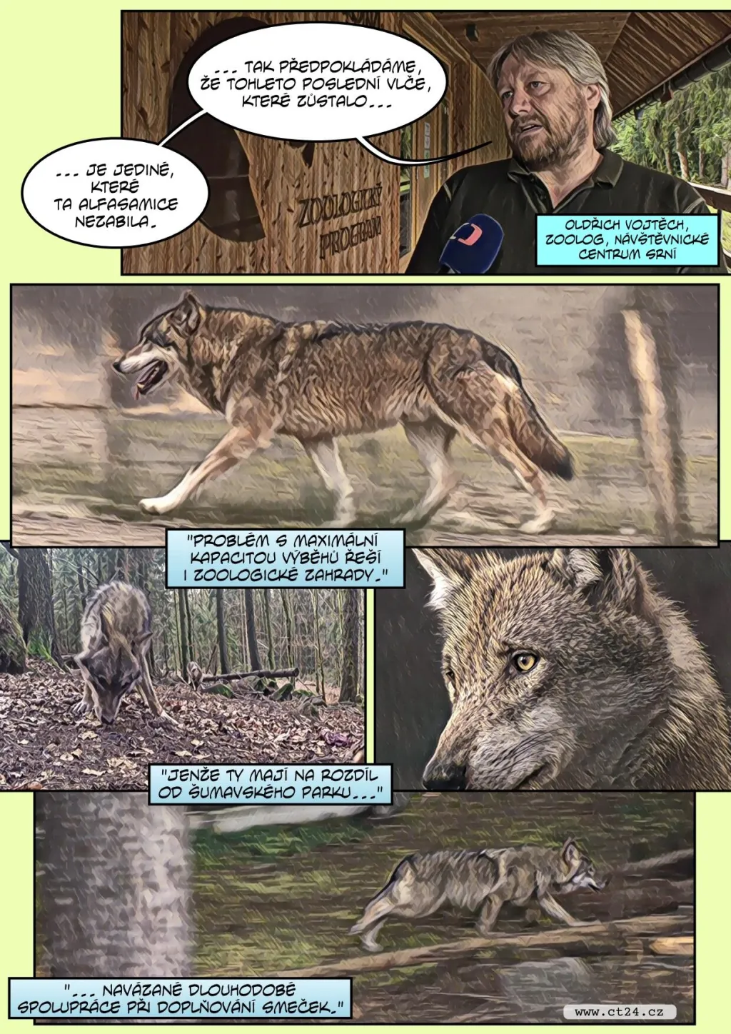 Šumavskou rezervaci trápí přemnožení vlci. I přes podanou antikoncepci dál rodí mláďata