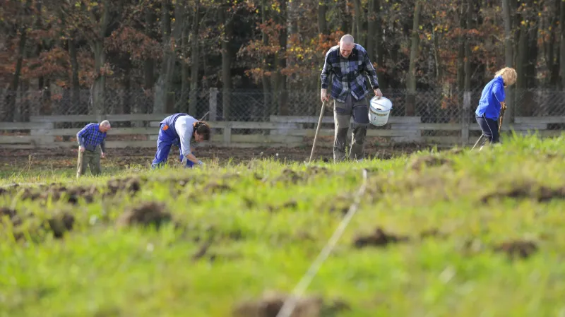 Na Prostějovsku roste první plantáž korkovníku