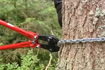 Šumava: Vyvedení aktivisté se stále vrací