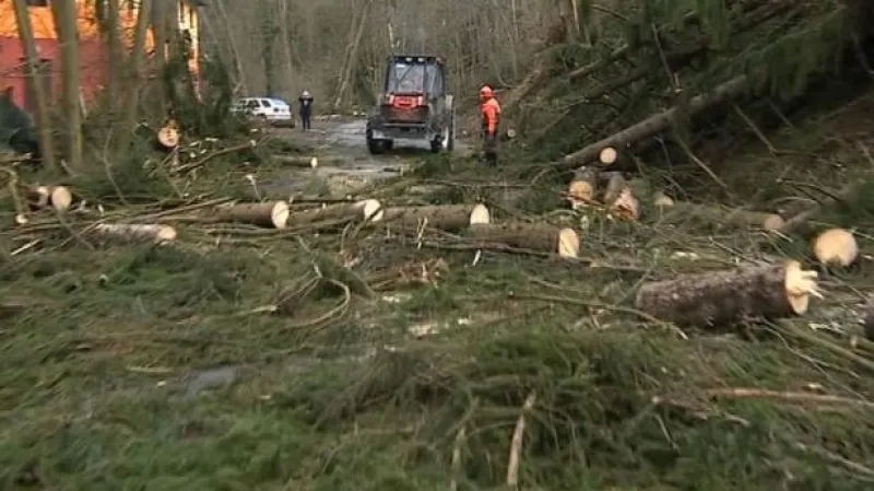 Události: Vítr způsobil vysoké škody i NP Šumava