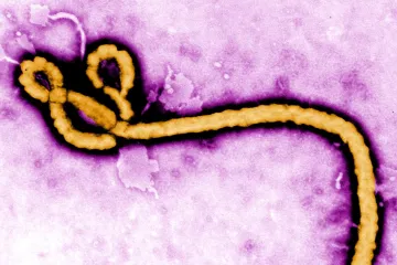 Vakcína proti ebole skvěle funguje, prozradila první reálná data z Afriky