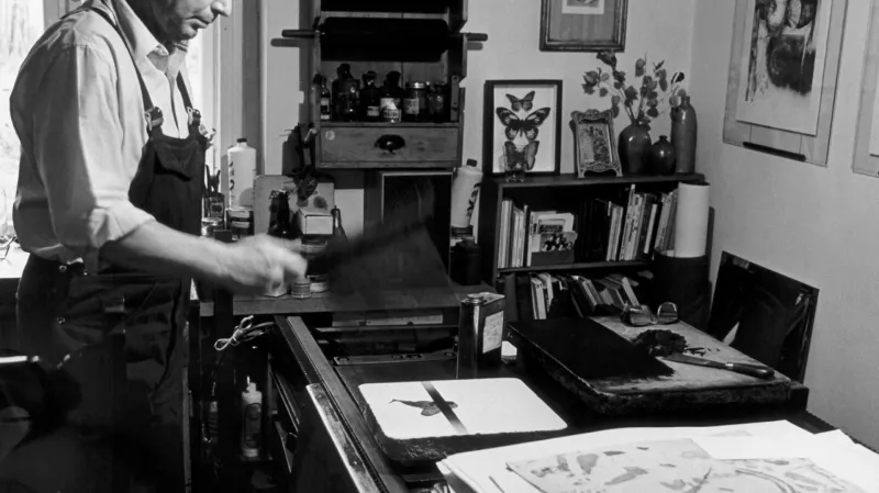 Vladimír Suchánek (1982)