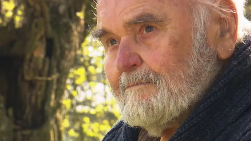 Antonín Dvořák III.