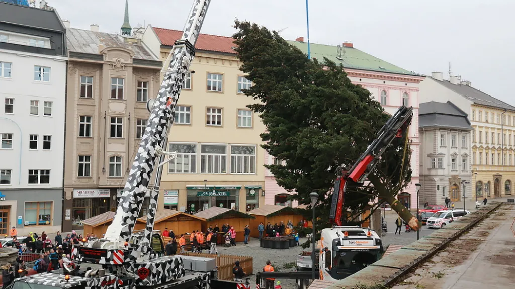 Douglaska na olomouckém náměstí