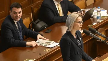 Ministryně pro místní rozvoj Zuzana Mrázová (ANO) hovoří v Poslanecké sněmovně