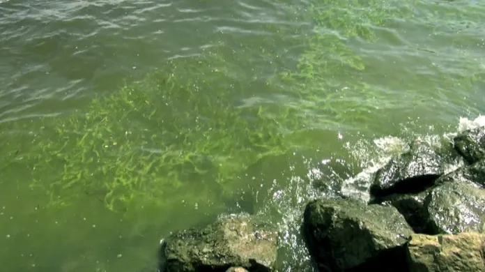 Jezero Tchaj je symbolem ekologické neschopnosti Číny
