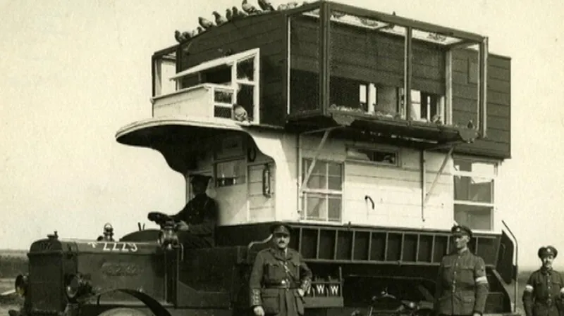 Londýnský autobus převáží poštovní holuby