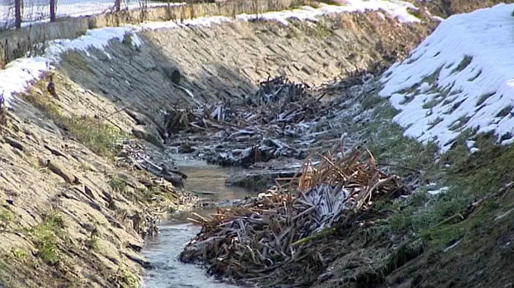 Zanesené koryto potoka