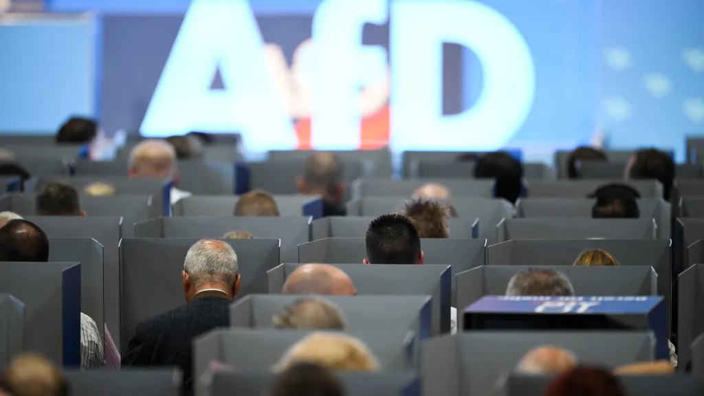 Alternativa pro Německo (AfD) - ilustrační foto