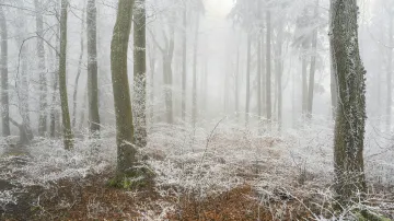 Ilustrační snímek