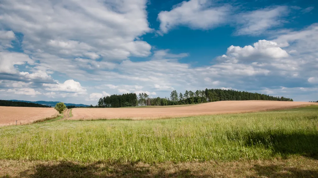 Ilustrační snímek