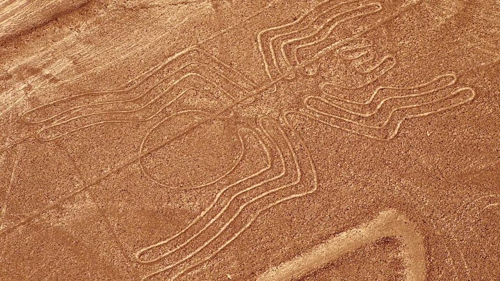 Obrazec na planině Nazca