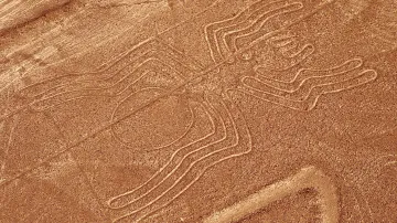 Obrazec na planině Nazca