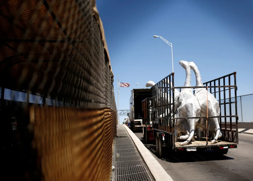 Figury dinosaurů jsou přepravovány po mezinárodním hraničním mostu s názvem Bridge of Americas směrem k městu El Paso v Texasu. USA uvolnily limity pro převoz postradatelného zboží z Mexika. Limity byly původně nastaveny kvůli pandemii covidu-19